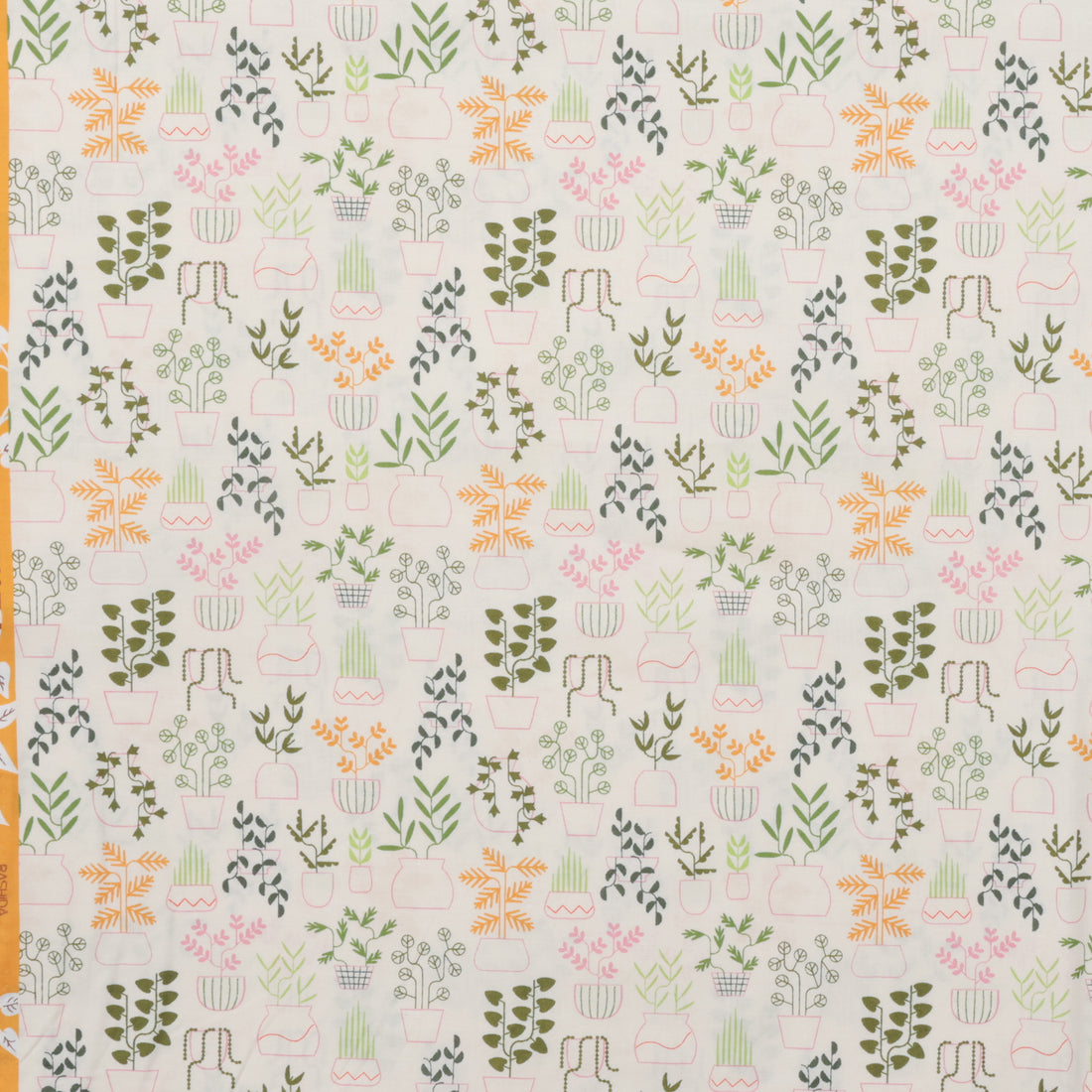 Ruby Star - Cotton - Calathea - Plant Life - Natural