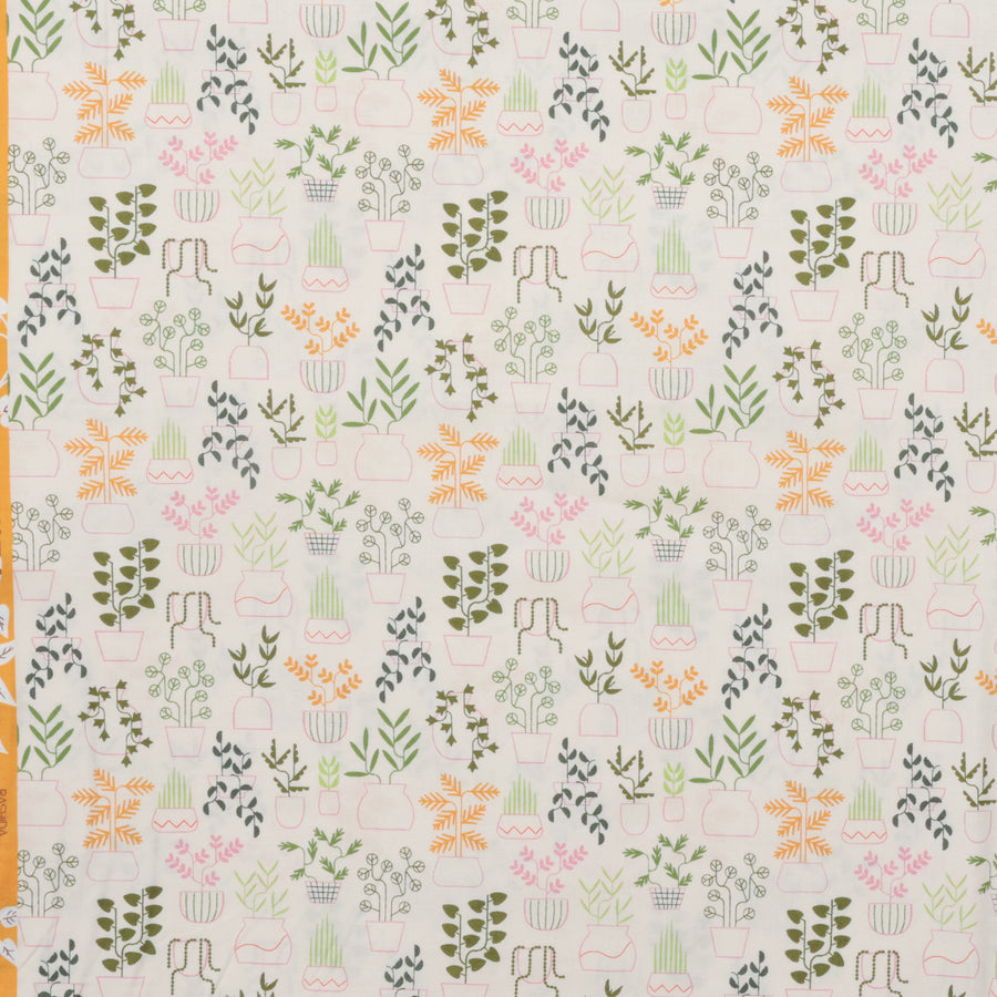 Ruby Star - Cotton - Calathea - Plant Life - Natural