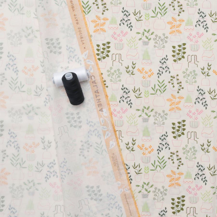 Ruby Star - Cotton - Calathea - Plant Life - Natural