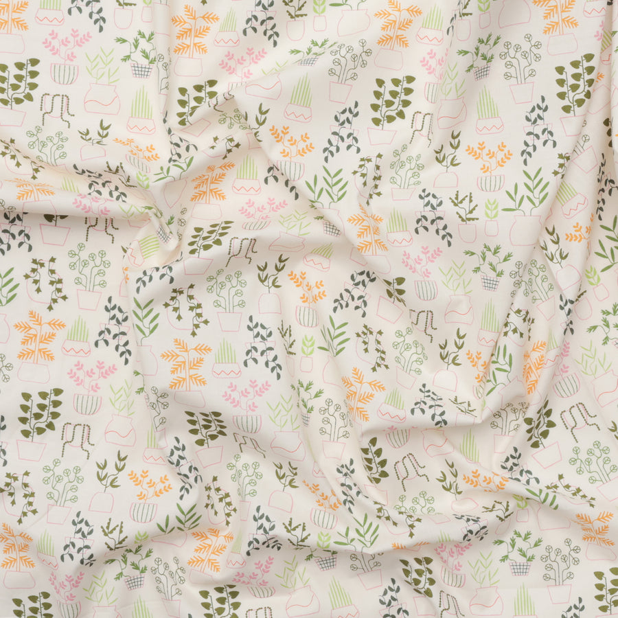 Ruby Star - Cotton - Calathea - Plant Life - Natural