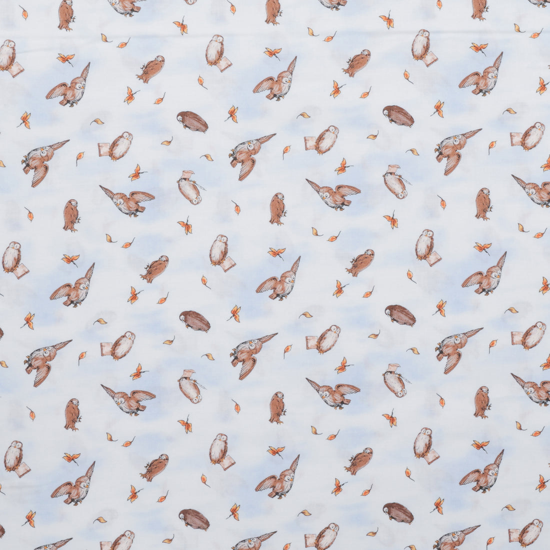 Studio E - Cotton - Classic Winnie - Owls - Lt Blue