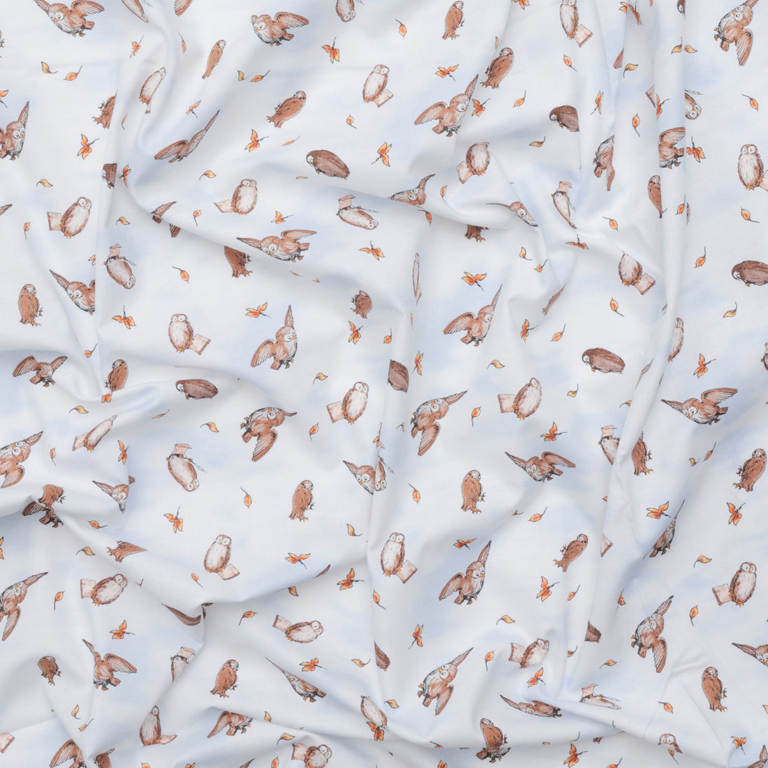 Studio E - Cotton - Classic Winnie - Owls - Lt Blue