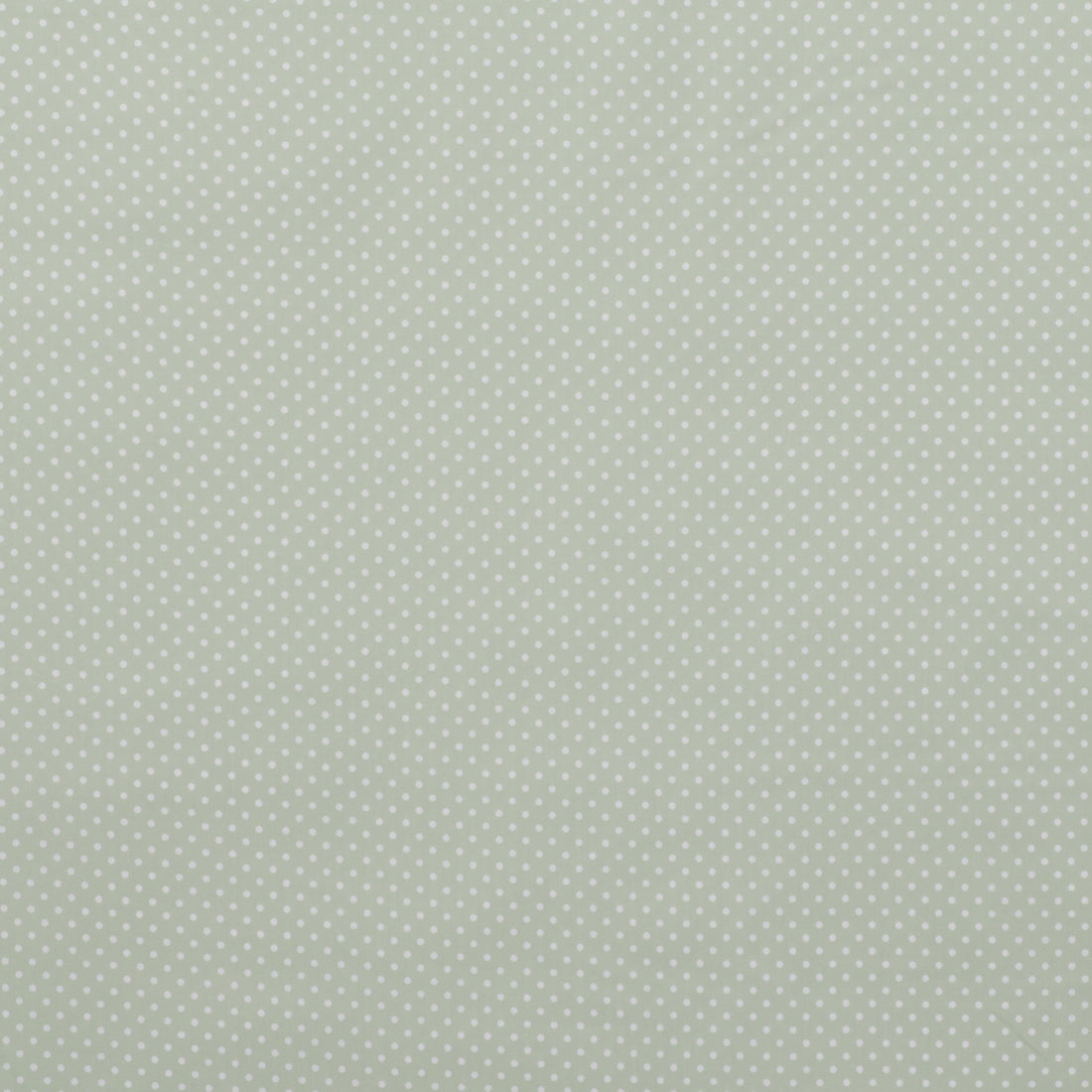 Sevenberry - Cotton - Petite Basics - Polka Dot - Sage