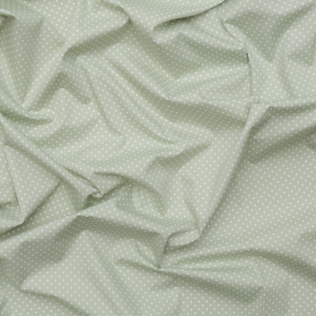 Sevenberry - Cotton - Petite Basics - Polka Dot - Sage