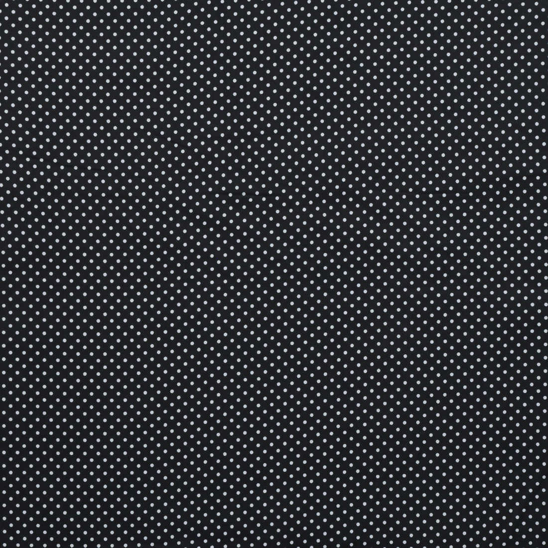 Sevenberry - Cotton - Petite Basics - Polka Dot - Black