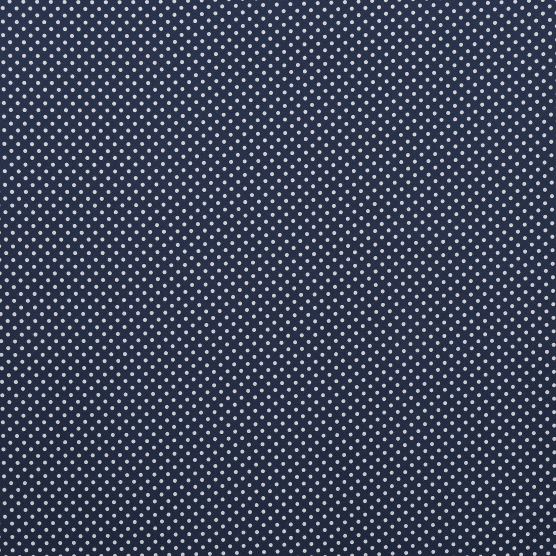 Sevenberry - Cotton - Petite Basics - Polka Dot - Navy