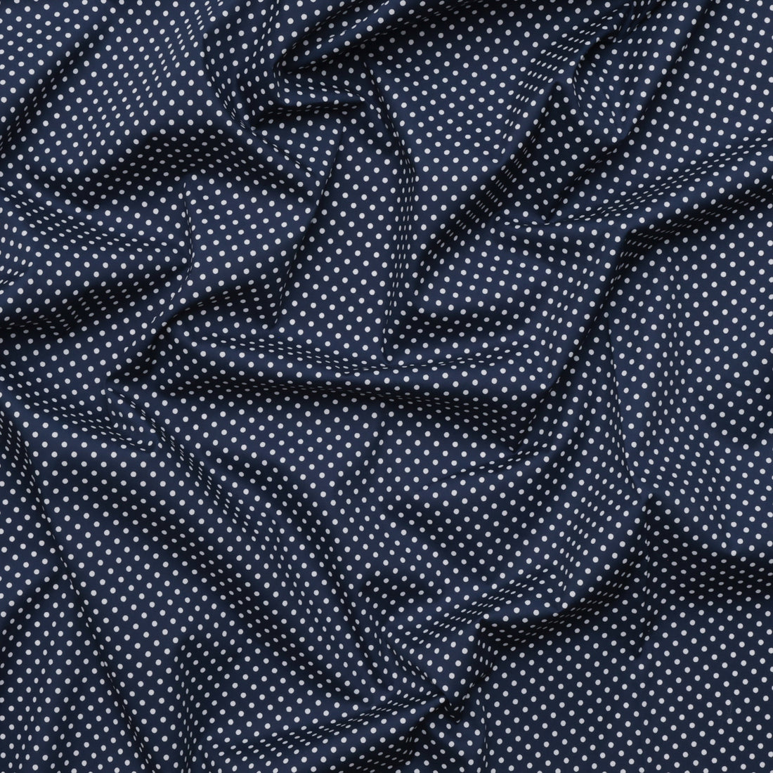 Sevenberry - Cotton - Petite Basics - Polka Dot - Navy