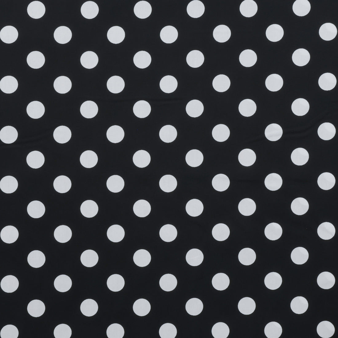 Sevenberry - Cotton - Petite Basics - Large Dot - Black