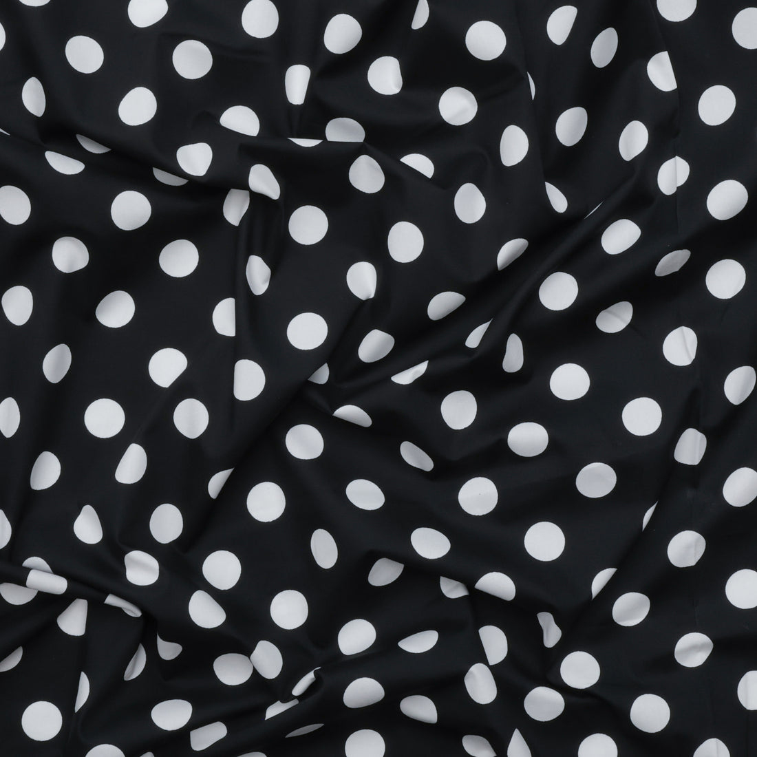 Sevenberry - Cotton - Petite Basics - Large Dot - Black