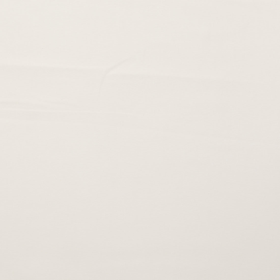 Cotton - Confetti Canvas - Assorted