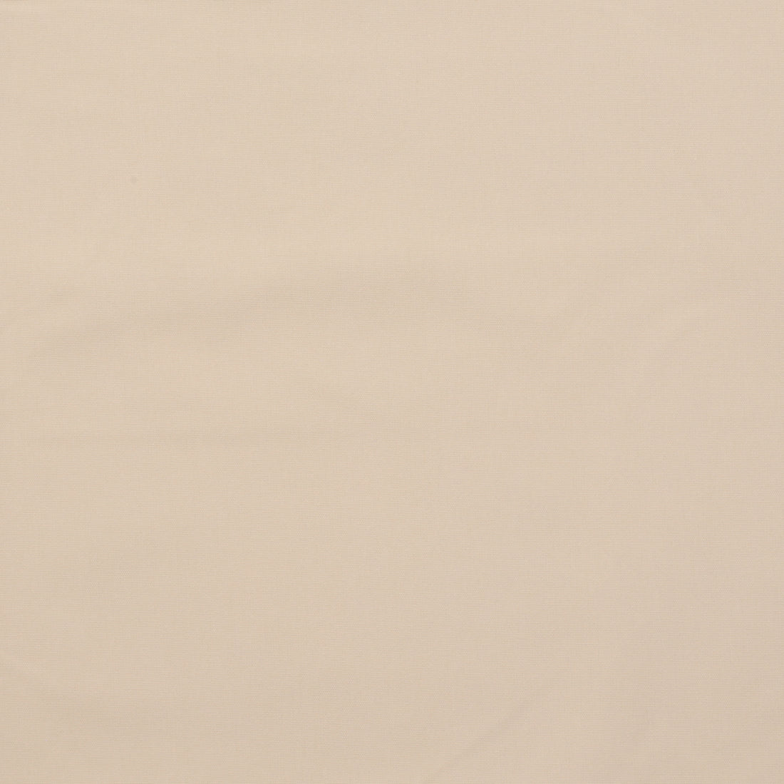 Cotton - Confetti Canvas - Assorted