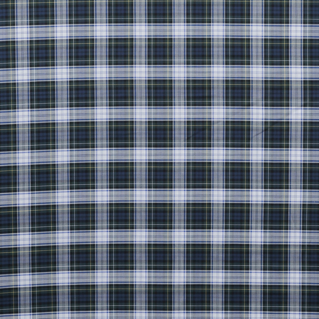 Cotton - Designer Plaid - Blue Green