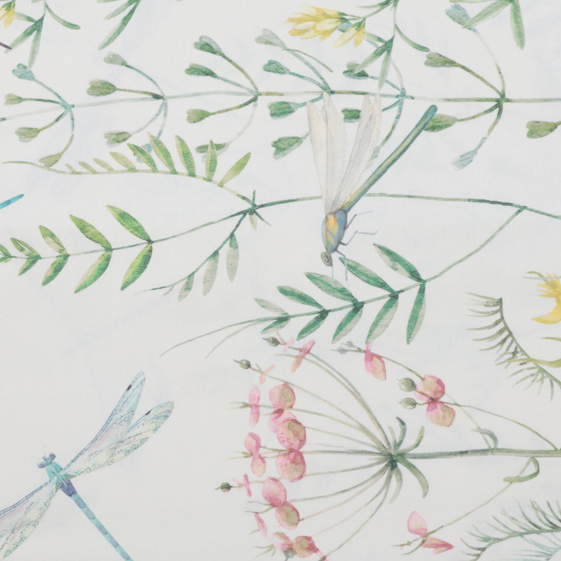 Katia - Cotton - Canvas Print - Dragonfly Border
