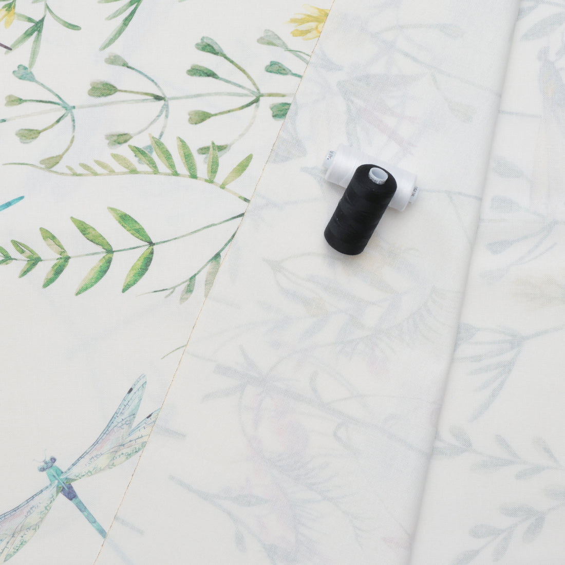 Katia - Cotton - Canvas Print - Dragonfly Border