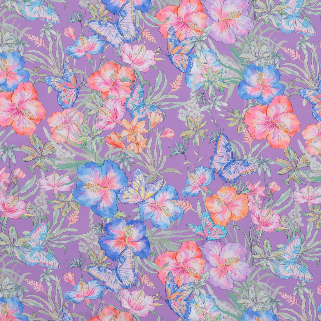 Katia - Polyamide - Swim Print - Amazonia Butterfly
