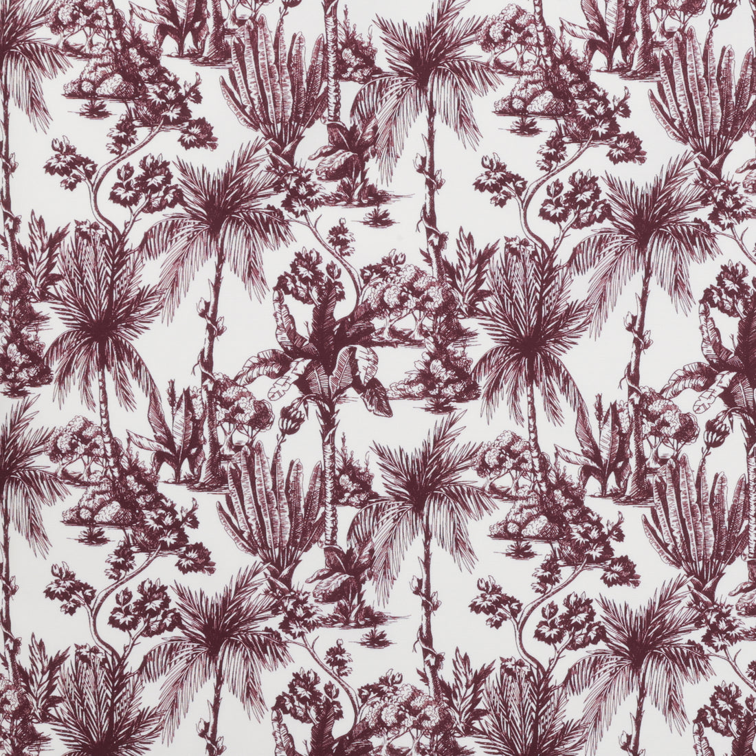 Organic Cotton - Scout Print - Assorted