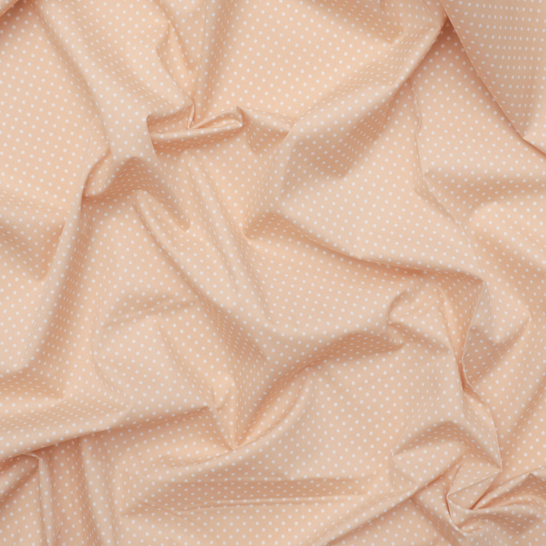 Sevenberry - Cotton - Petite Basics - Polka Dot - Natural