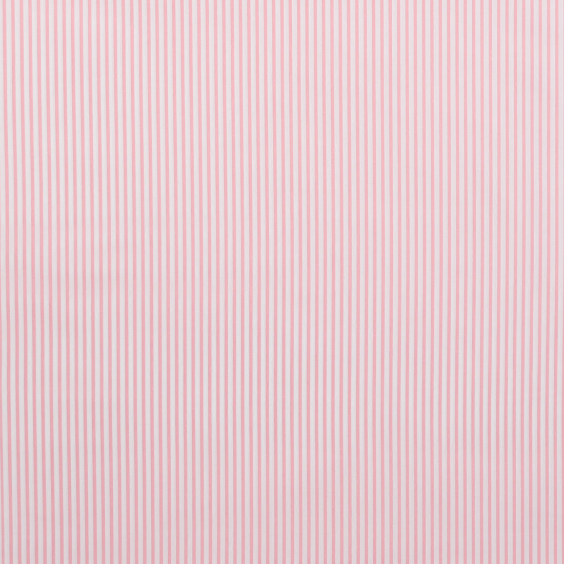 Sevenberry - Cotton - Petite Basics - Mini Stripe - Pink