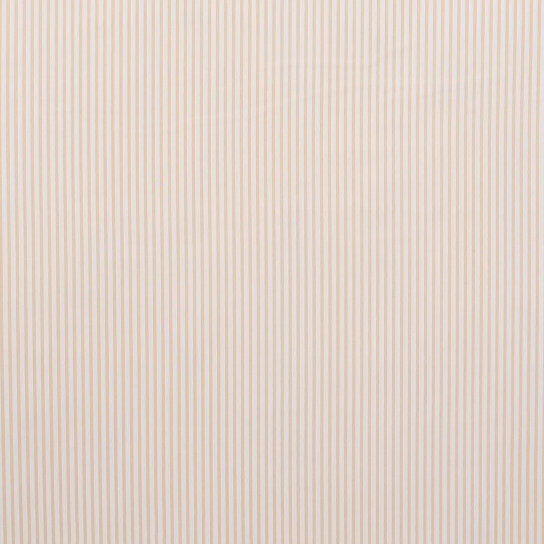 Sevenberry - Cotton - Petite Basics - Mini Stripe - Natural