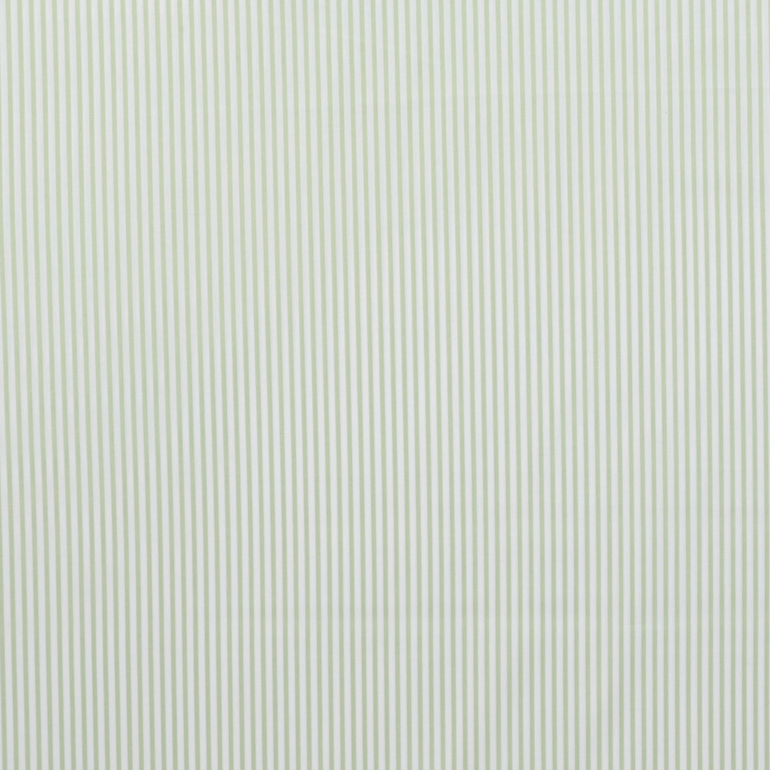 Sevenberry - Cotton - Petite Basics - Mini Stripe - Sage