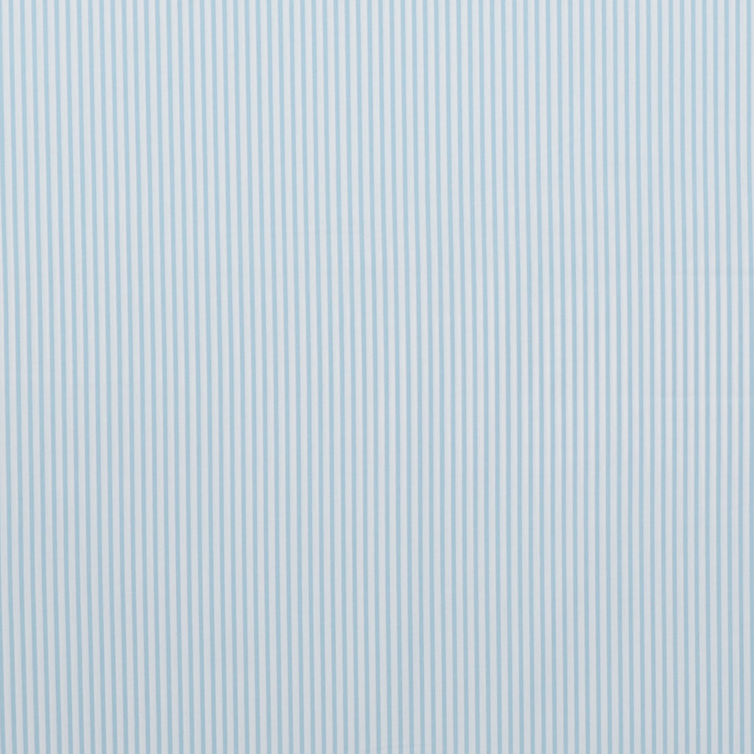 Sevenberry - Cotton - Petite Basics - Mini Stripe - Blue