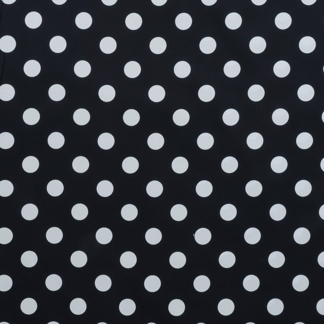 Sevenberry - Cotton - Petite Basics - Large Dot - Dark Navy
