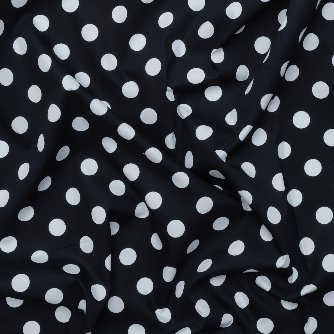 Sevenberry - Cotton - Petite Basics - Large Dot - Dark Navy