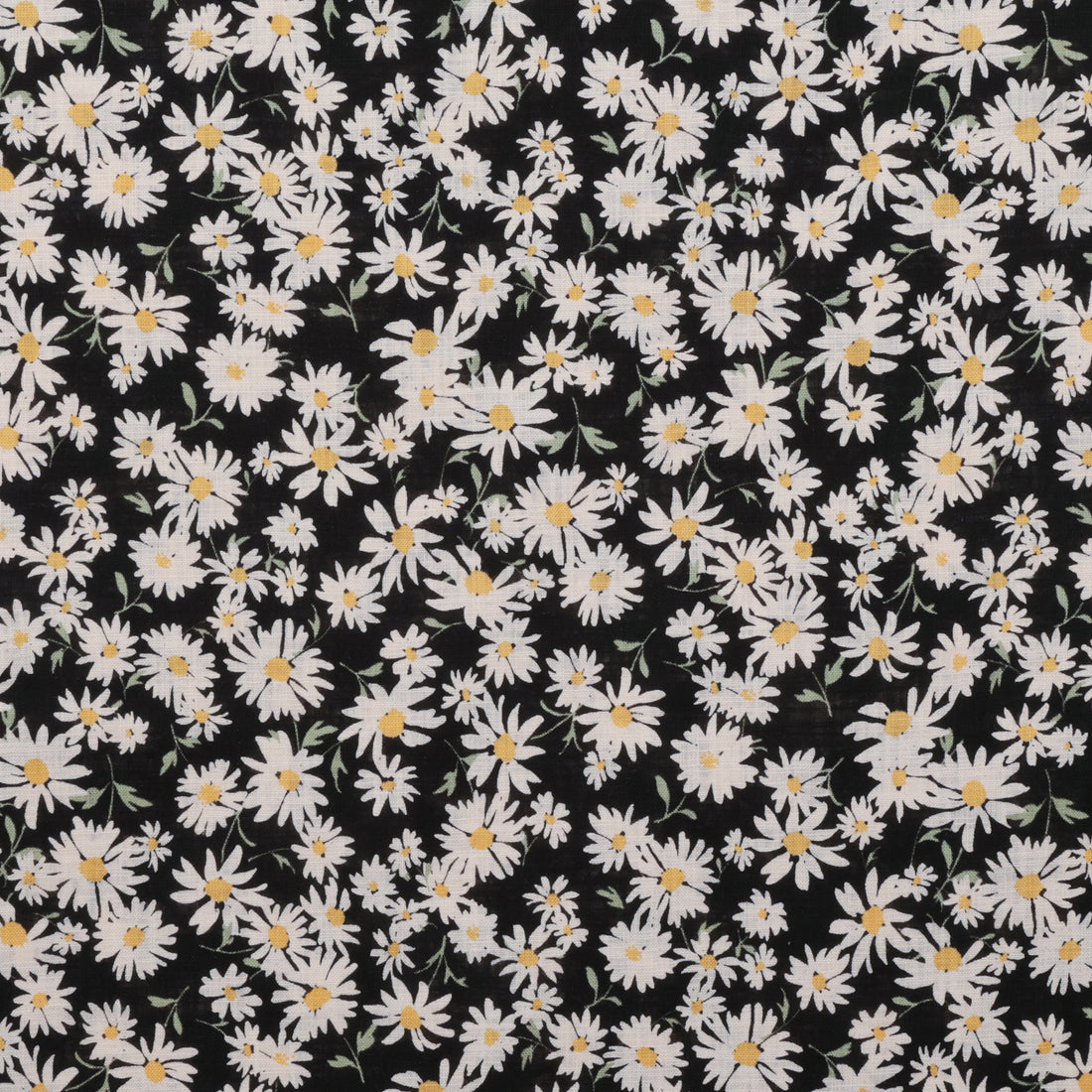 Sevenberry - Cotton - Canvas - Daisies - Black