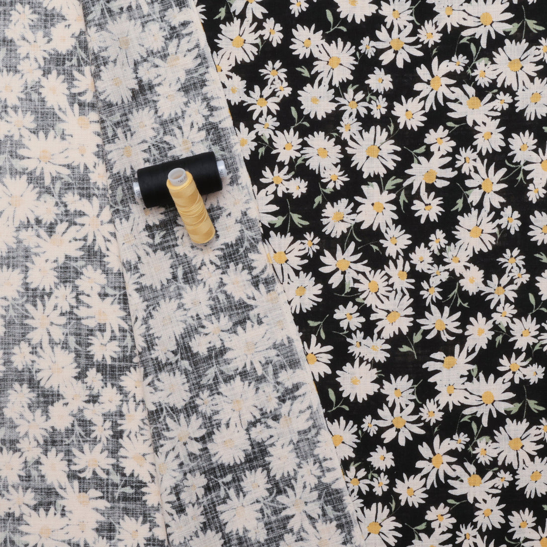 Sevenberry - Cotton - Canvas - Daisies - Black