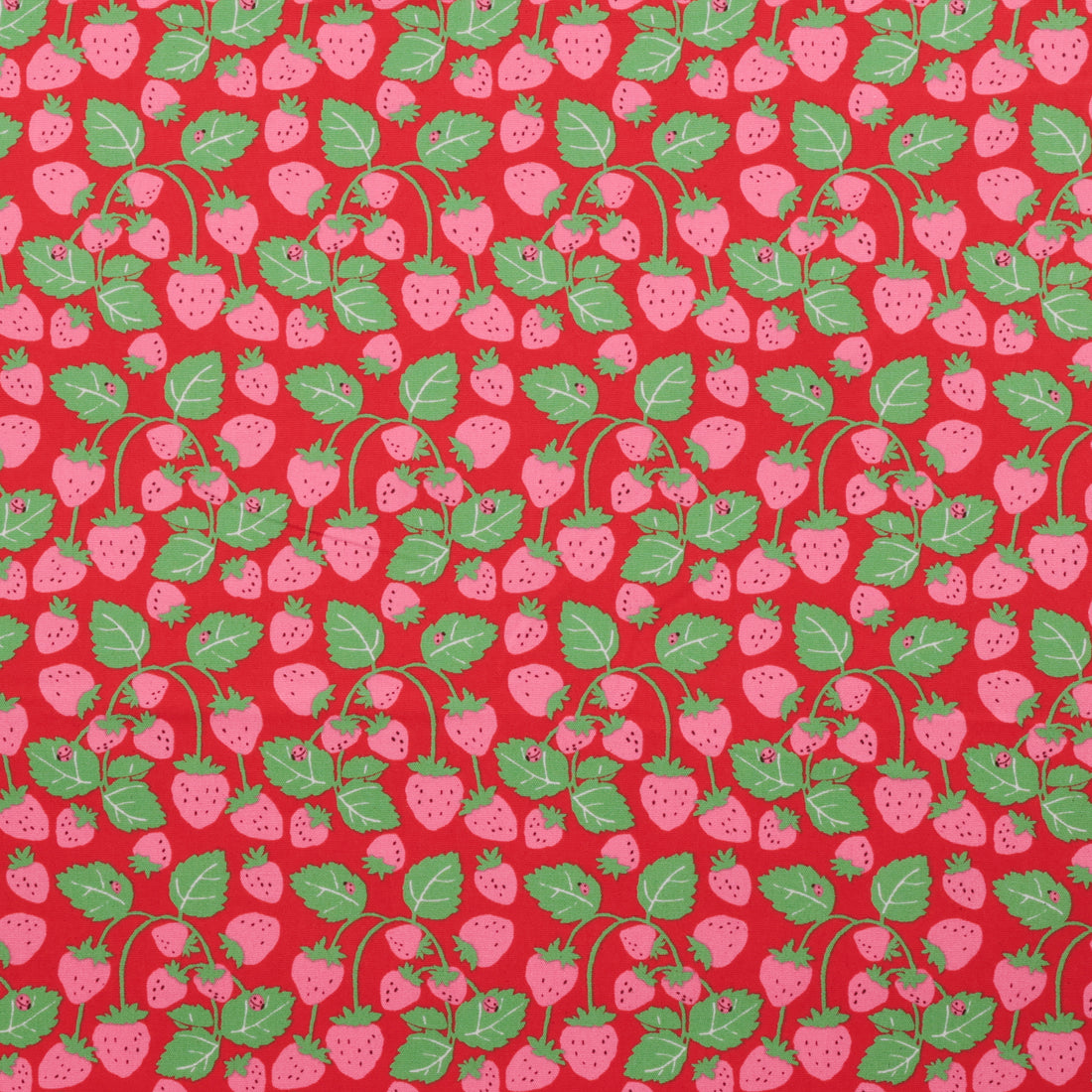 Sevenberry - Cotton - Canvas - Strawberries - Red
