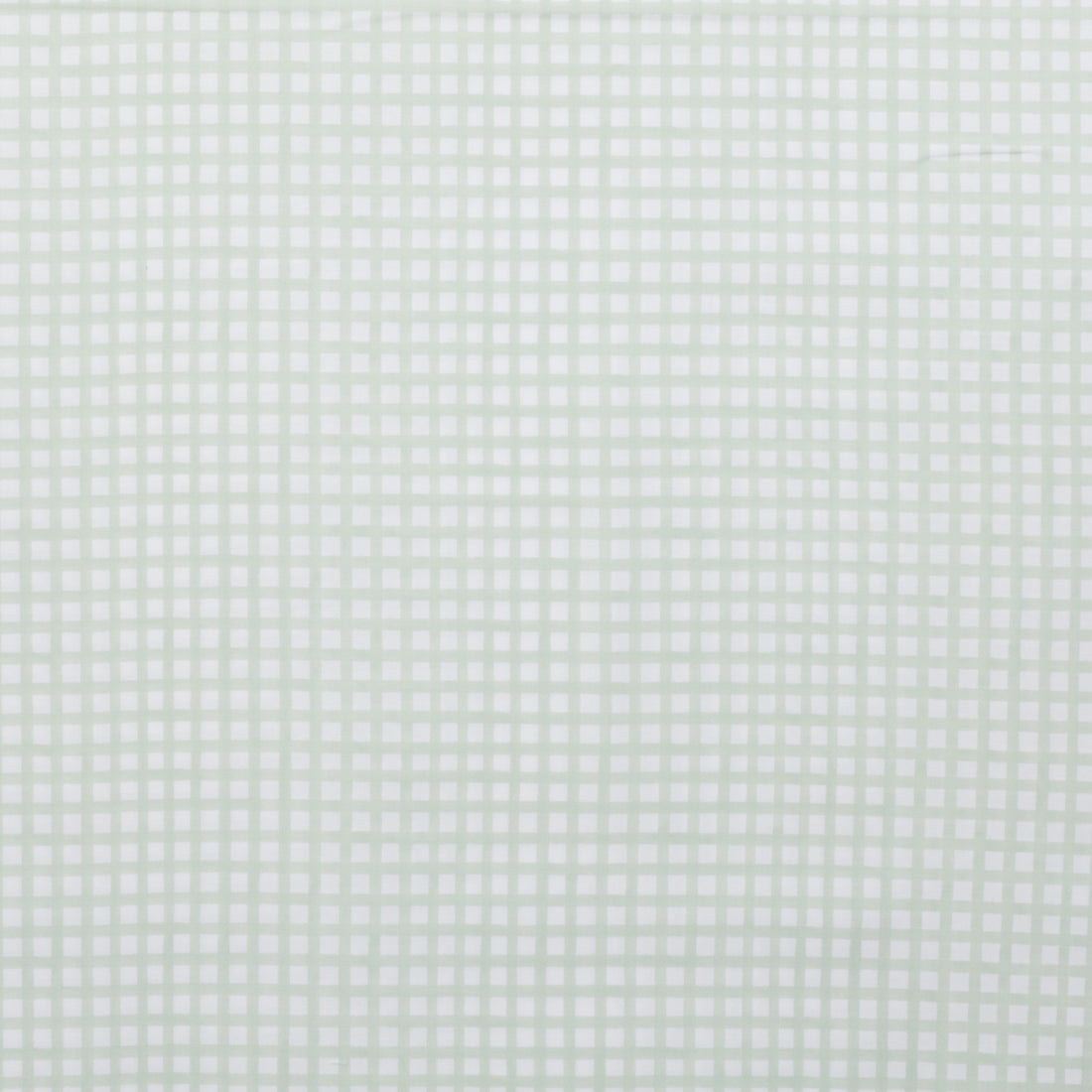 Dear Stella - Cotton - Woodland Willow - Plaid - Peapod