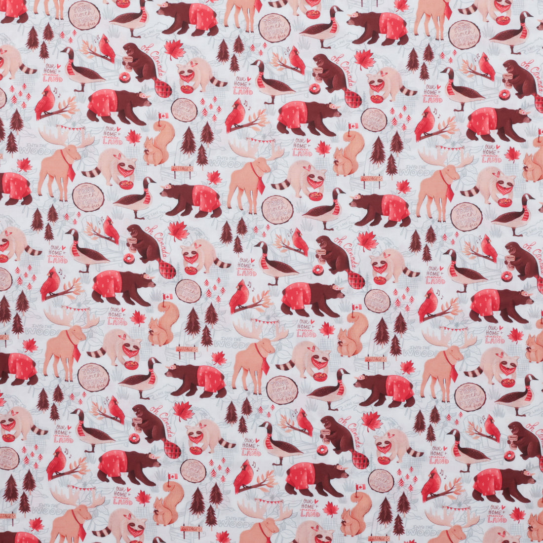 Camelot - Cotton - Oh Canada - True North - White