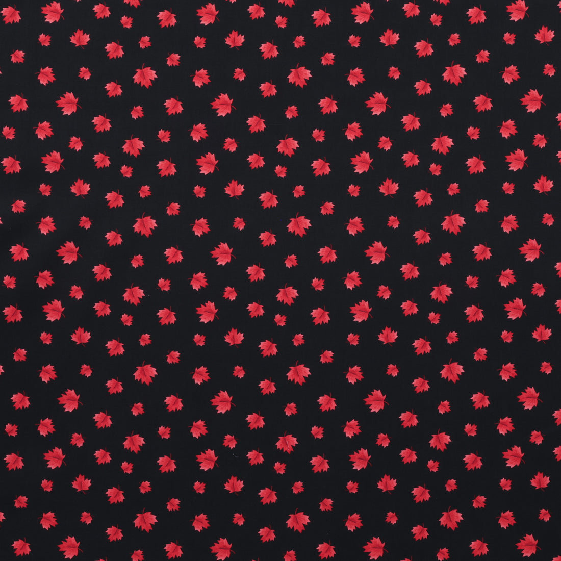 Camelot - Cotton - Oh Canada - Maple Leaves - Black