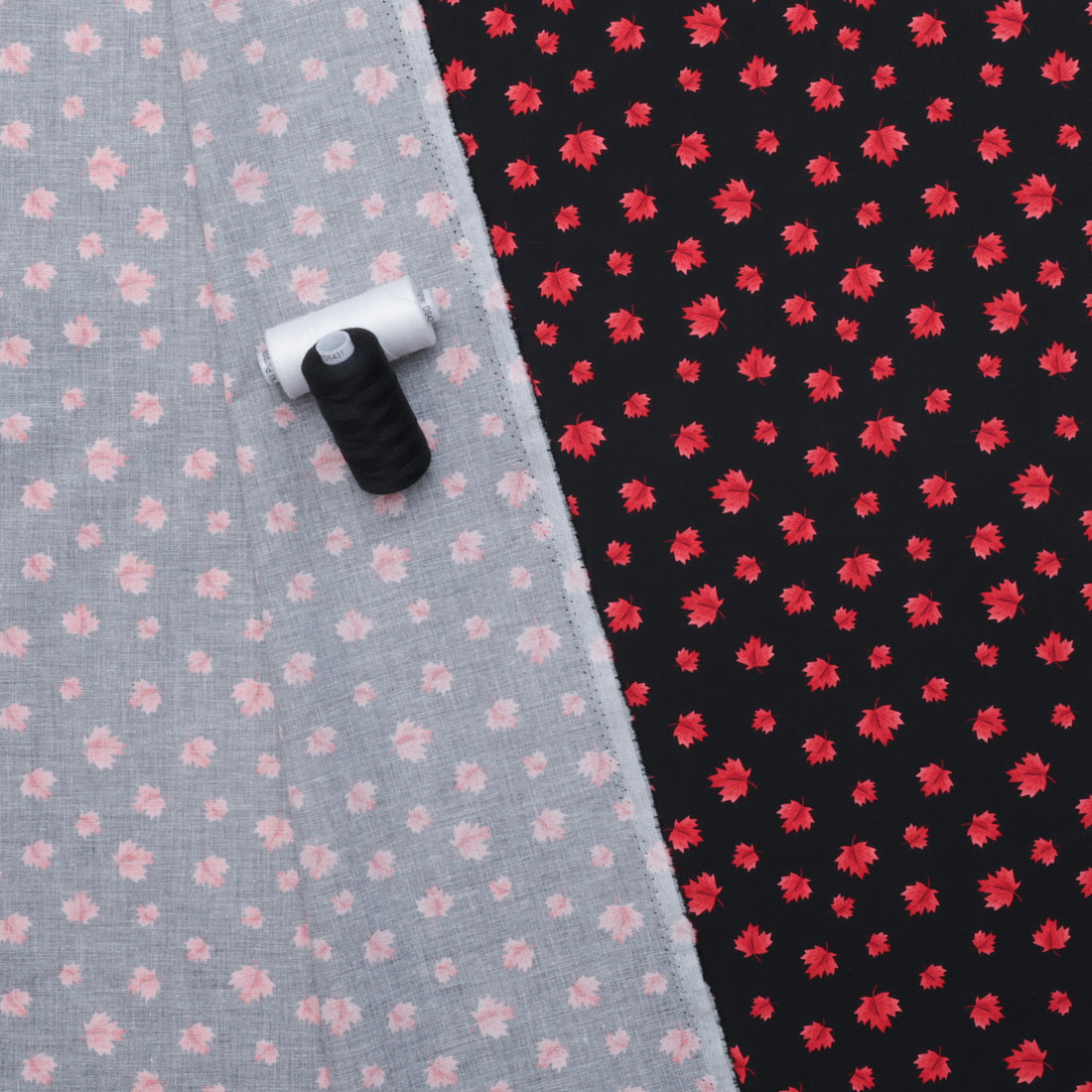 Camelot - Cotton - Oh Canada - Maple Leaves - Black
