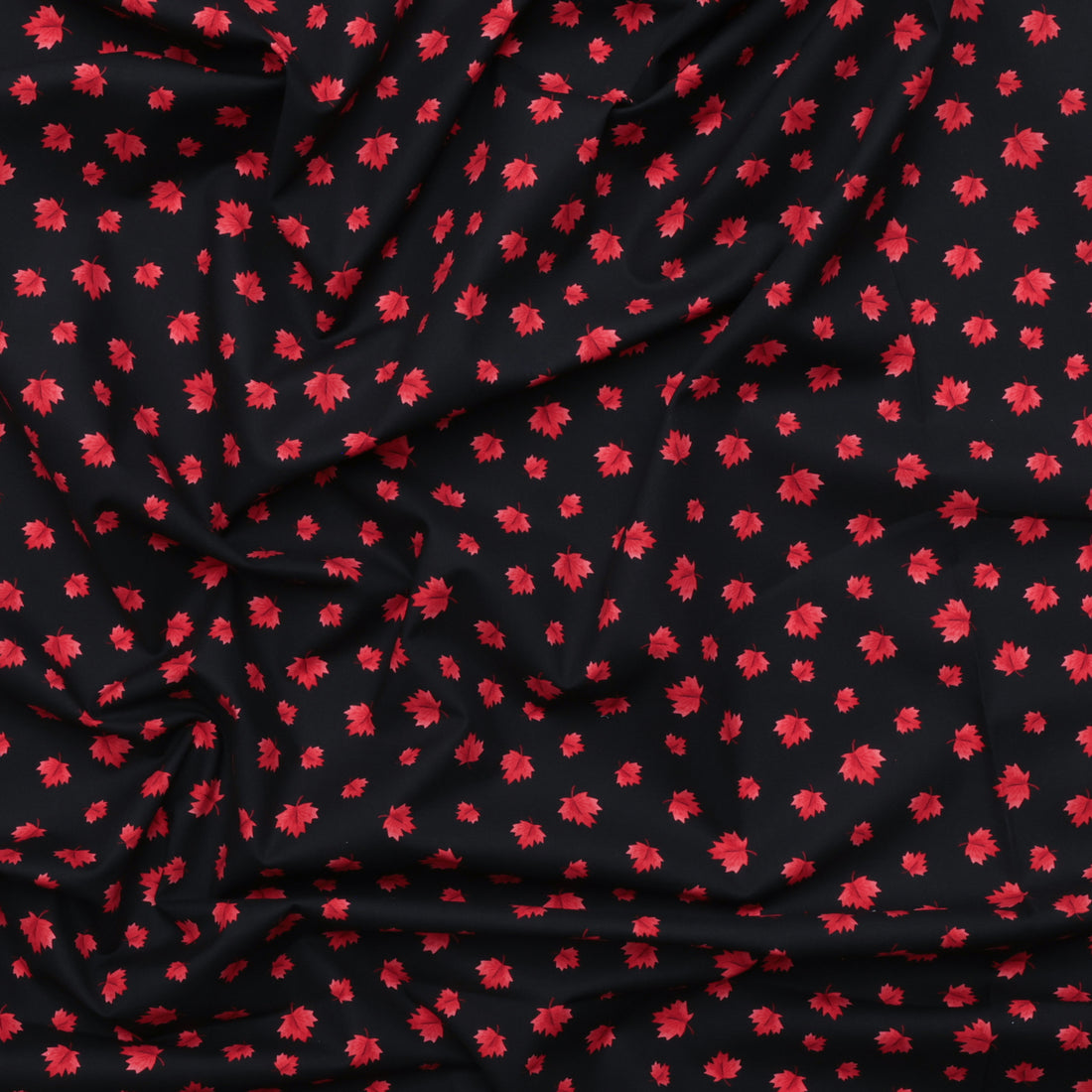 Camelot - Cotton - Oh Canada - Maple Leaves - Black