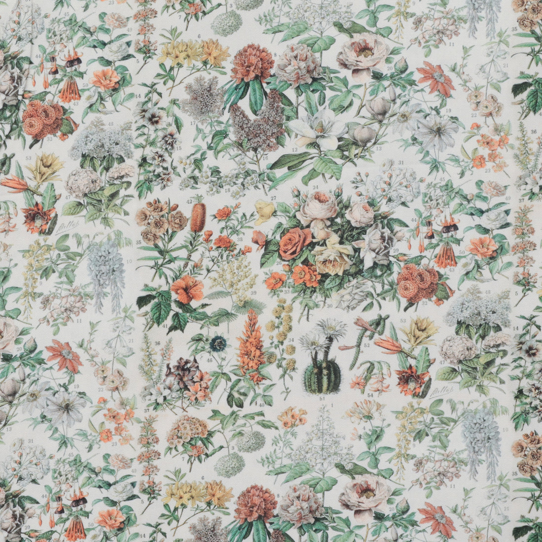 Tim Holtz - Pallete Canvas -  Eclectic Elements - Botanical - Orange
