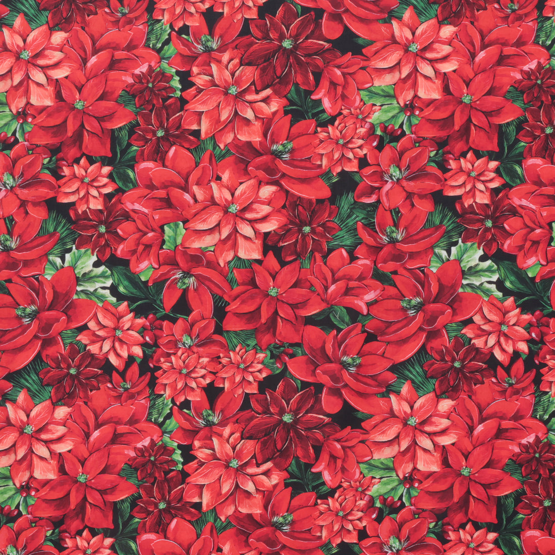 Camelot - Cotton - Joy To The World - Poinsettias - Red