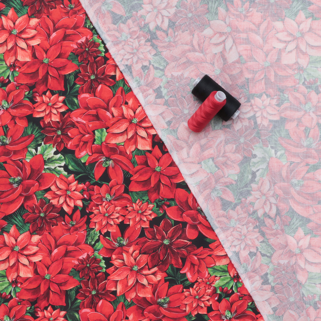Camelot - Cotton - Joy To The World - Poinsettias - Red