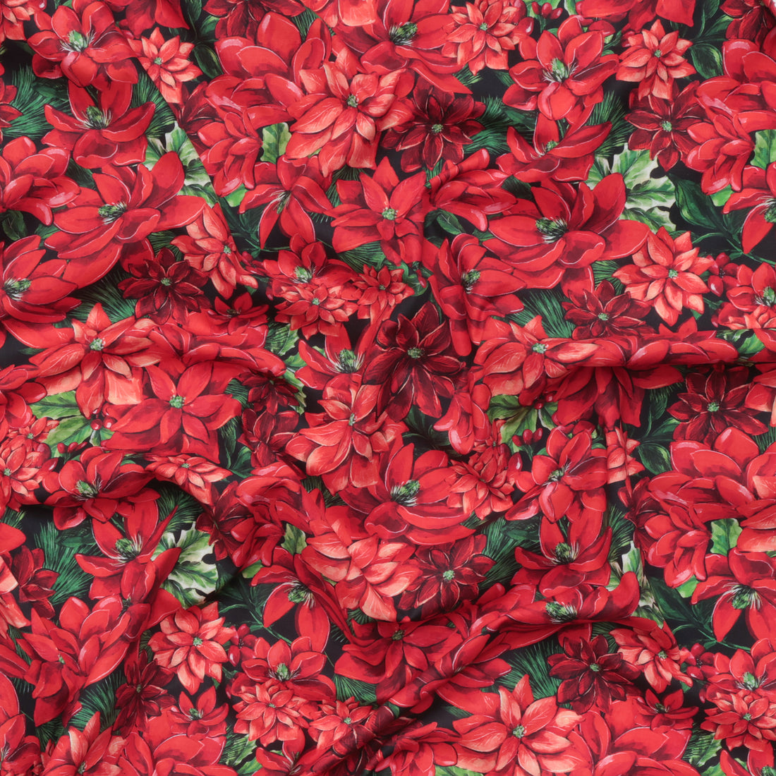 Camelot - Cotton - Joy To The World - Poinsettias - Red
