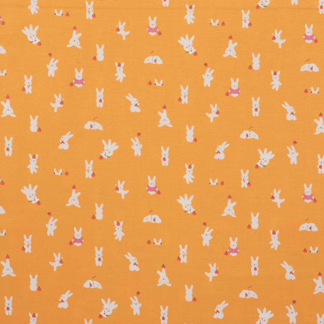 Ruby Star - Cotton - Persimmon - Bun E and Simmy - Dandelion