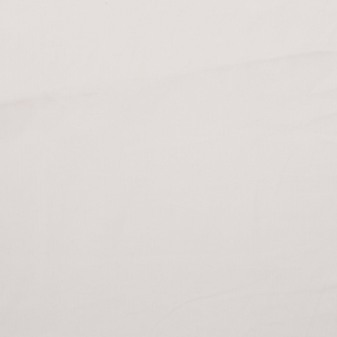 Cotton - Brushed Bull Denim - Assorted