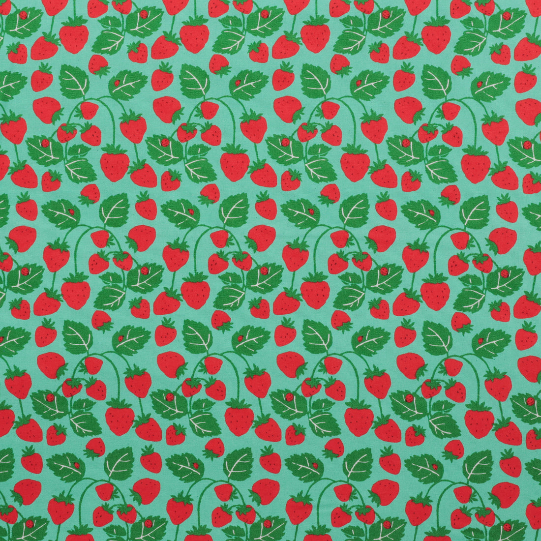 Sevenberry - Cotton - Canvas - Strawberries - Green