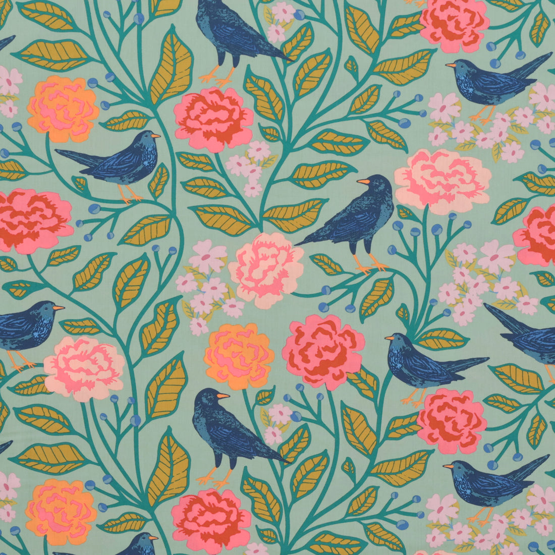 AGF - Cotton - Starling - Blackbird Aviary