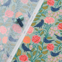 AGF - Cotton - Starling - Blackbird Aviary