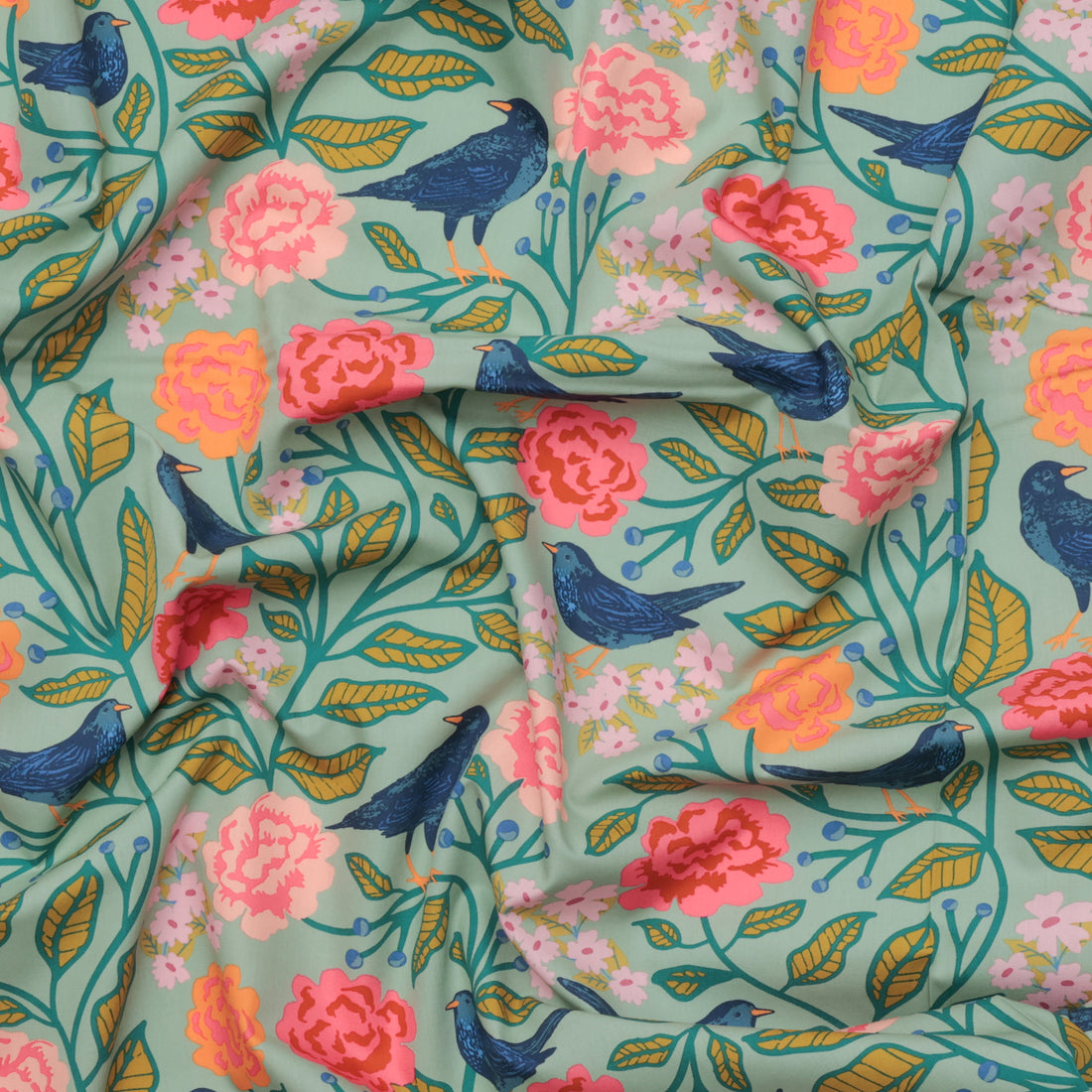 AGF - Cotton - Starling - Blackbird Aviary