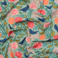 AGF - Cotton - Starling - Blackbird Aviary