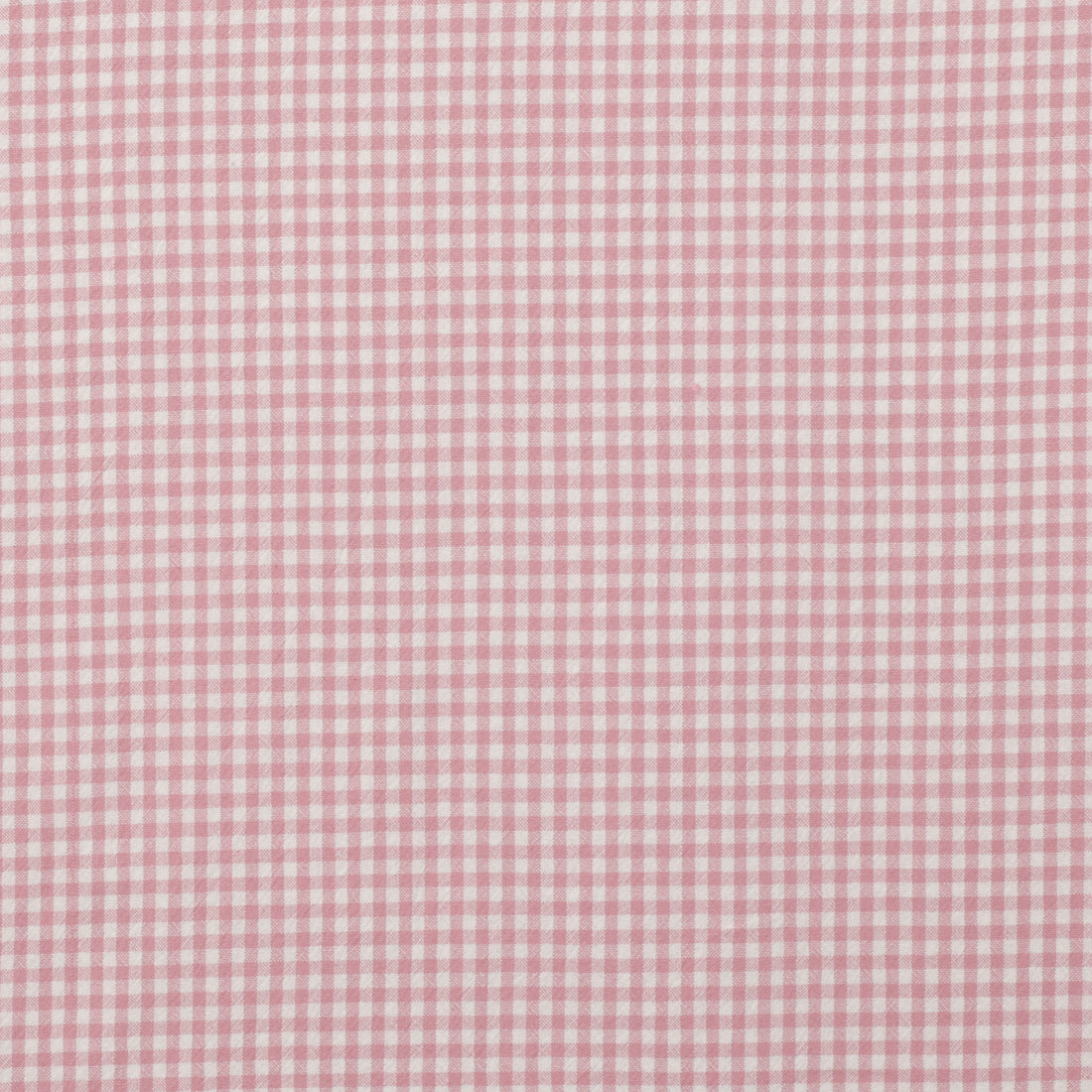 Organic Cotton - Gingham - Assorted