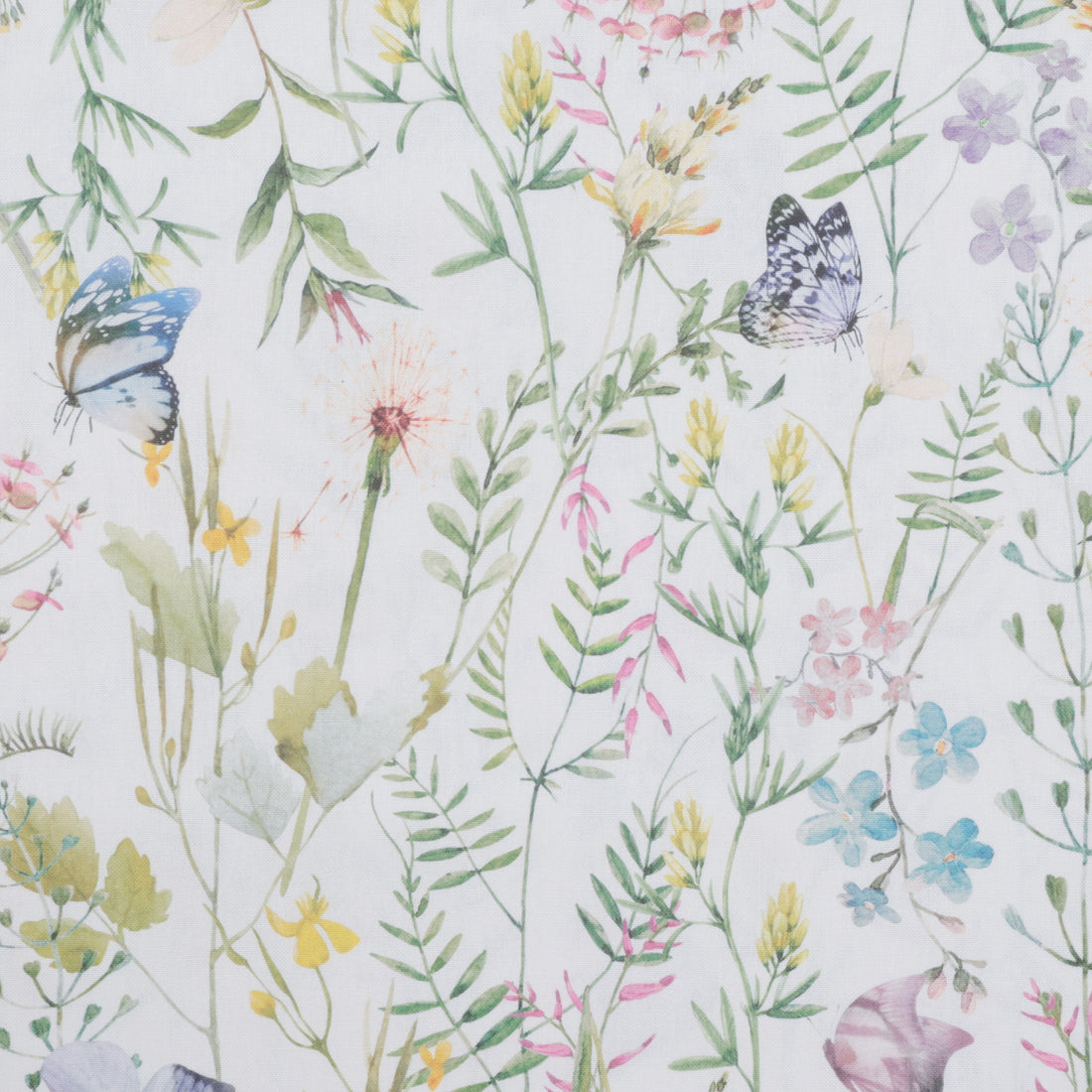 Katia - Cotton - Canvas Print - Butterfly & Dandelion