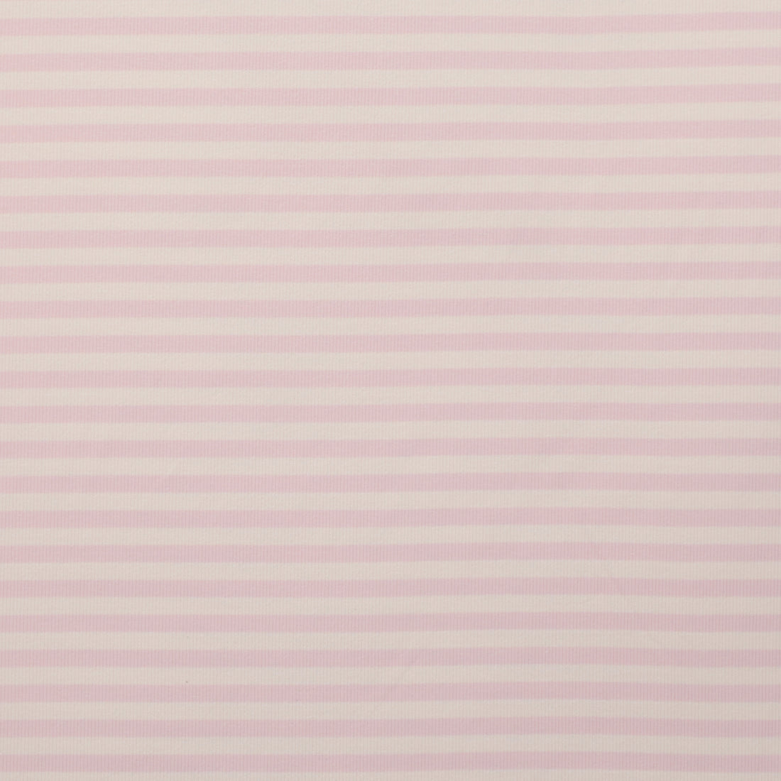 Cotton - Regatta Stripe Rib - Assorted