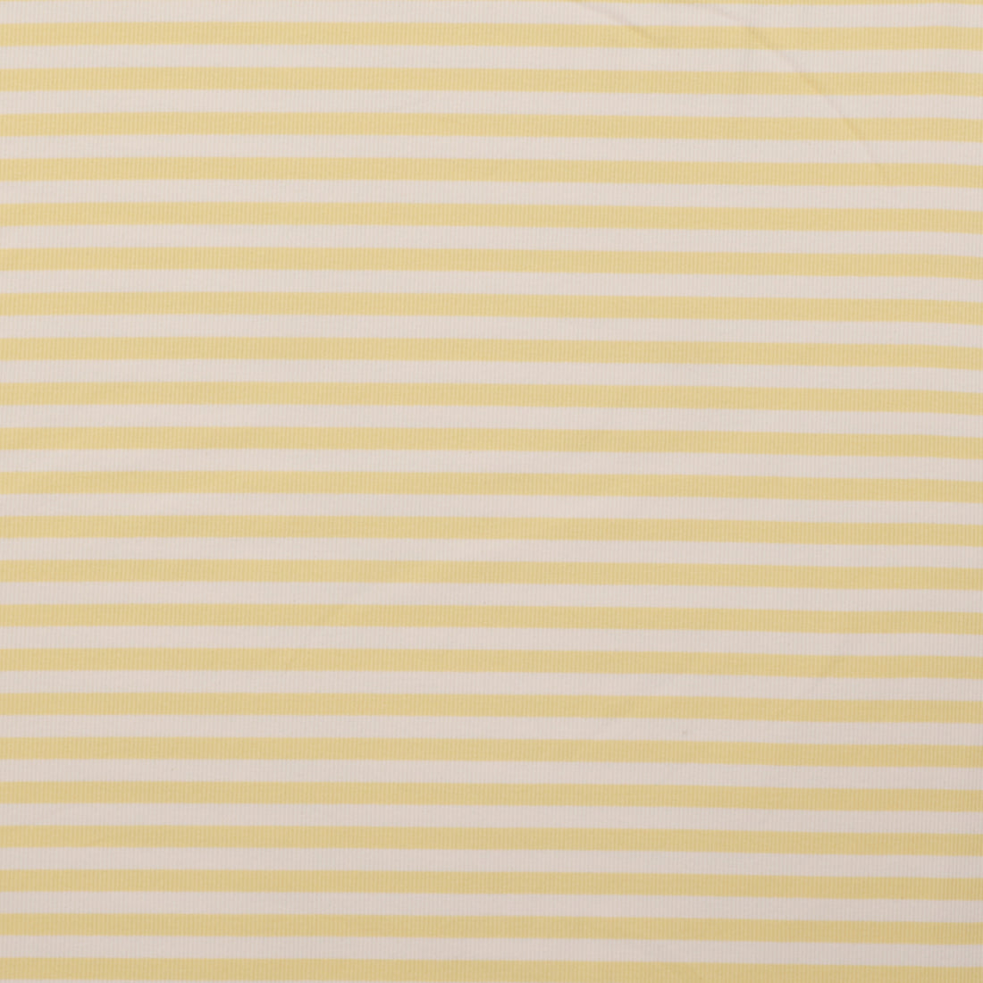 Cotton - Regatta Stripe Rib - Assorted